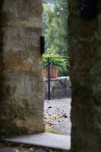 Image 24